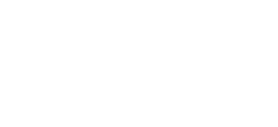 Vivid-Four-Seasons-Logo