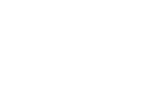 Vivid-soneva-logo