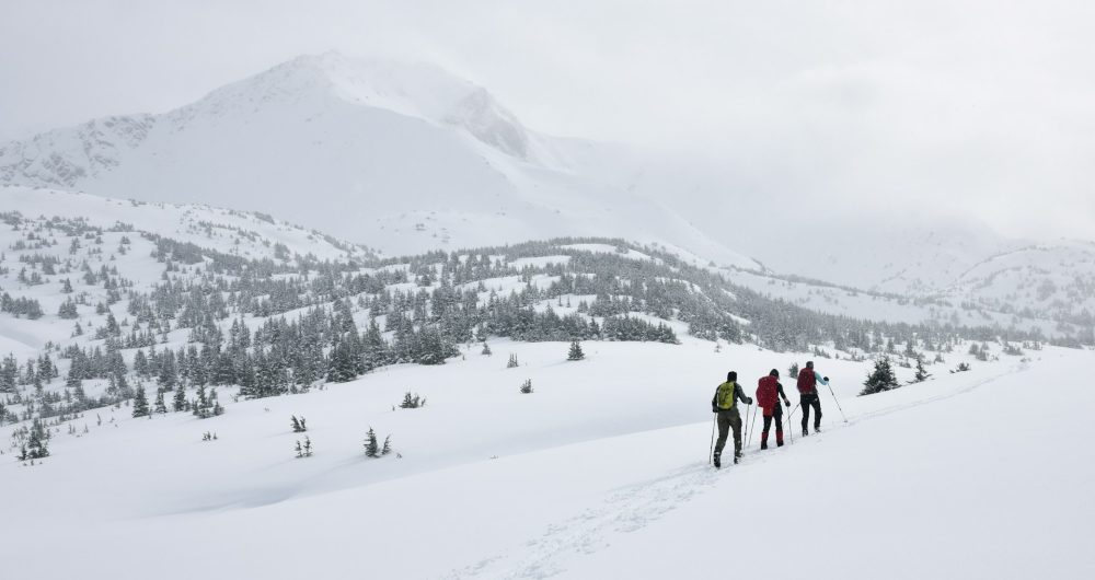 ski 3